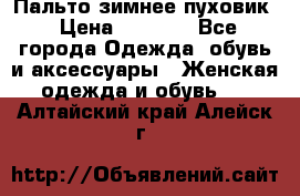 Пальто зимнее пуховик › Цена ­ 2 500 - Все города Одежда, обувь и аксессуары » Женская одежда и обувь   . Алтайский край,Алейск г.